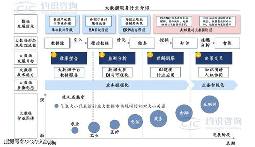 《中國商業大數據服務行業藍皮書》發布 洞見未來，數據賦能社會經濟咨詢新篇章